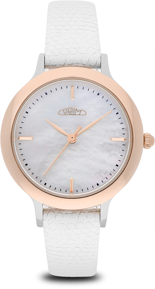 PRIM Olympia Modern 24 - C